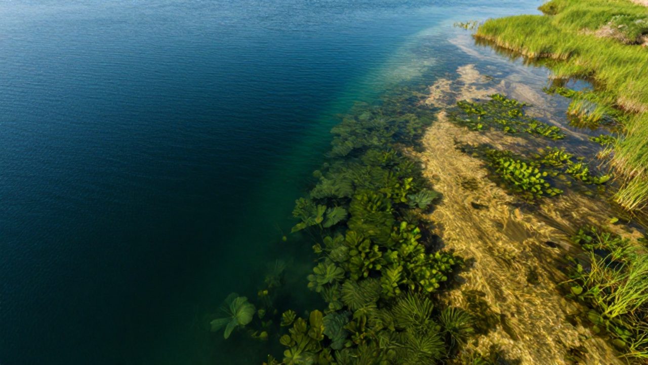 Comparativa entre un lago de aguas profundas de color azul oscuro y una laguna poco profunda con vegetación acuática y fondo arenoso iluminado por el sol.