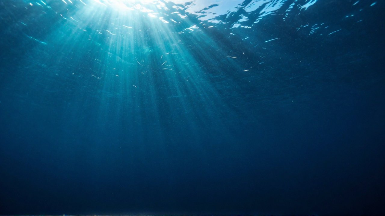 Sección transversal vertical del océano que muestra la transición de luz desde la superficie hasta la oscuridad profunda.